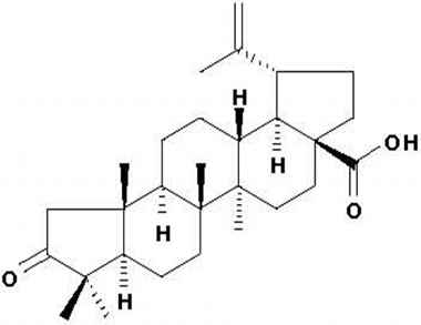 PA PHY 001027