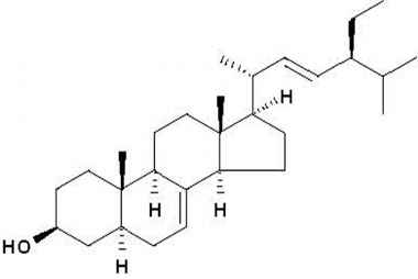 PA PHY 001034