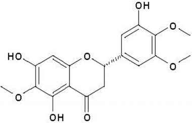 PA PHY 001036