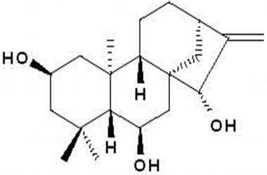 PA PHY 001050