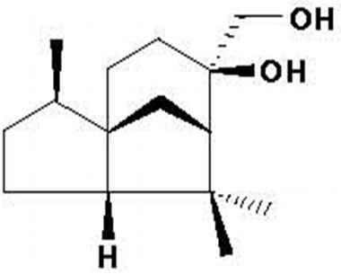 PA PHY 001057