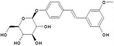 PA PHY 001085