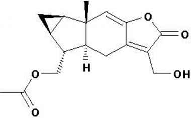 PA PHY 001175