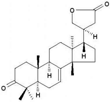 PA PHY 001176