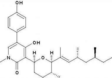 PA PHY 001178