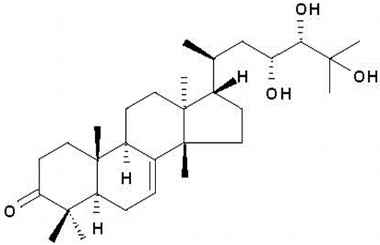 PA PHY 001229