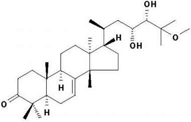 PA PHY 001242