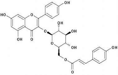 PA PHY 001246