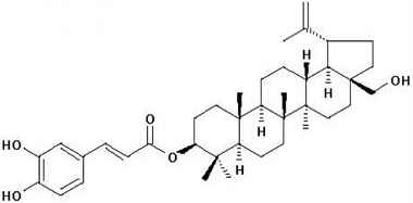 PA PHY 001250