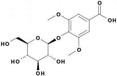 PA PHY 001260