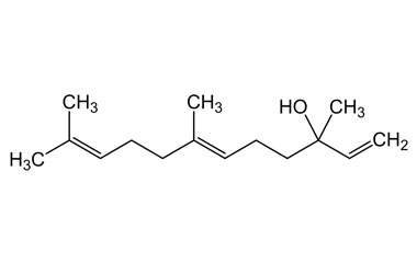 PA PHY 001262