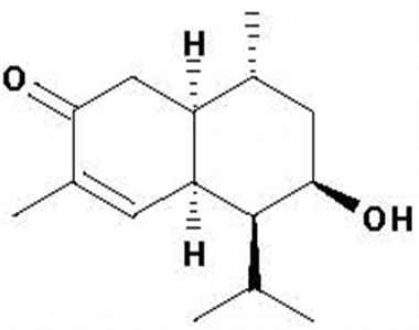 PA PHY 001273