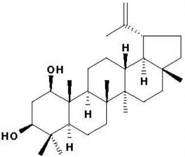 PA PHY 001279