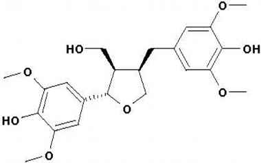 PA PHY 001285