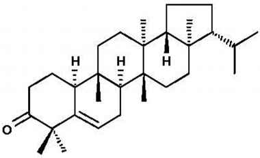 PA PHY 001286