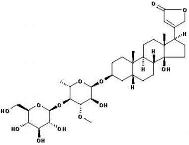 PA PHY 001307