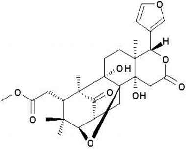 PA PHY 001311