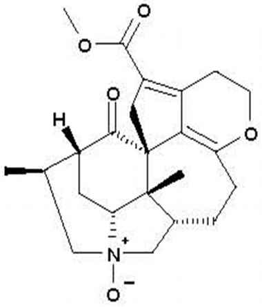 PA PHY 001331