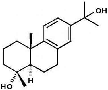 PA PHY 001335