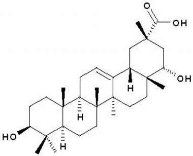 PA PHY 001350