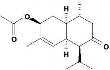 PA PHY 001365