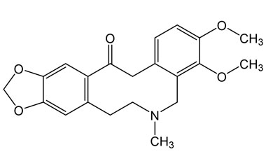 PA PHY 001386