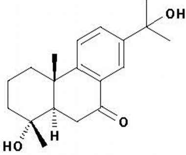 PA PHY 001400