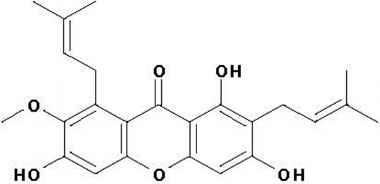 PA PHY 001430