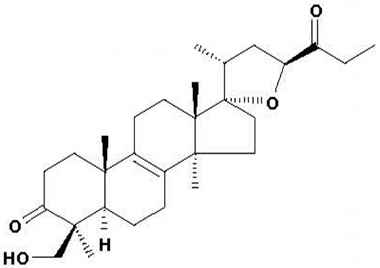 PA PHY 001436