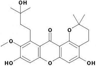 PA PHY 001443