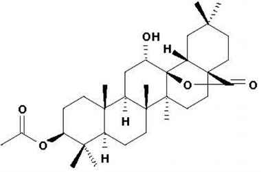 PA PHY 001446