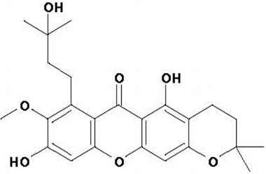 PA PHY 001450