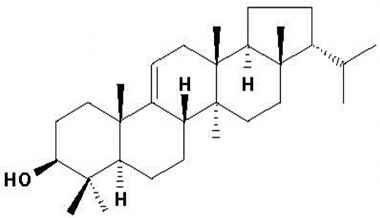 PA PHY 001466