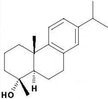 PA PHY 001473