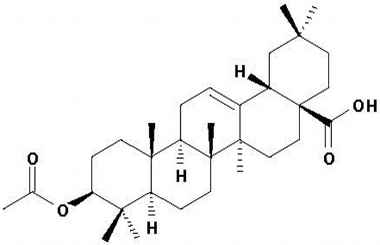 PA PHY 001475