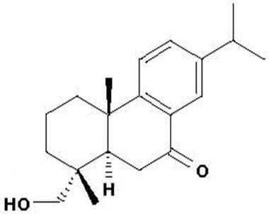 PA PHY 001485