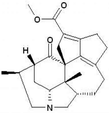 PA PHY 001500