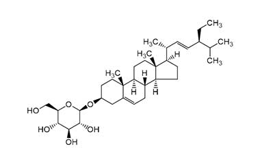 PA PHY 001516