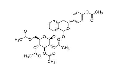 PA PHY 001522