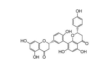 PA PHY 001616