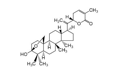 PA PHY 001628