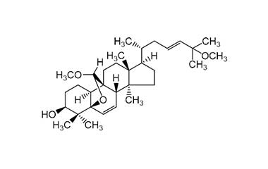 PA PHY 001652