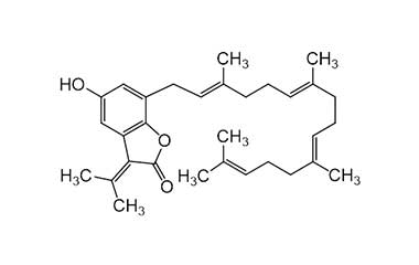 PA PHY 001667