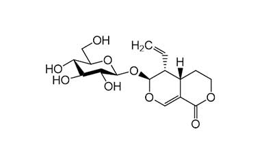 PA PHY 001681