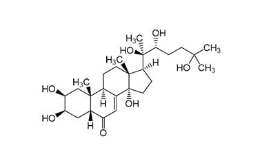 PA PHY 001682