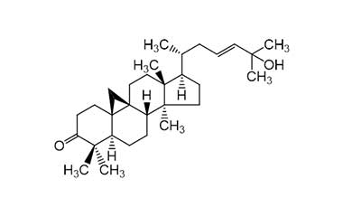 PA PHY 001687