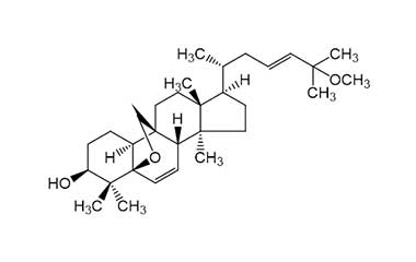 PA PHY 001692