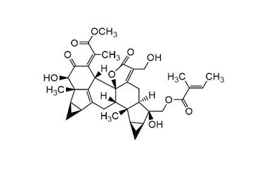 PA PHY 001706