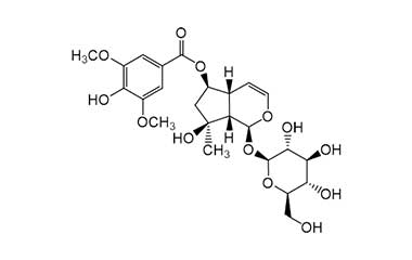 PA PHY 001729