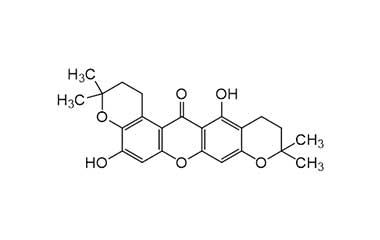 PA PHY 001737